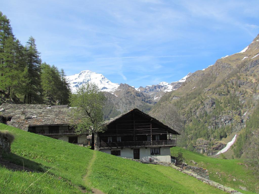 Hotel Lysjoch Gressoney-la-Trinité Eksteriør bilde